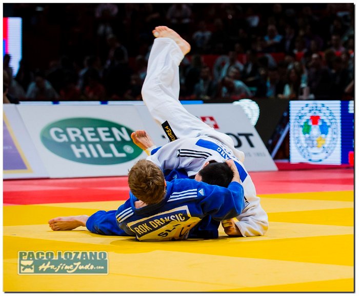 Paris 2014 by P.Lozano cat -73 kg (262)